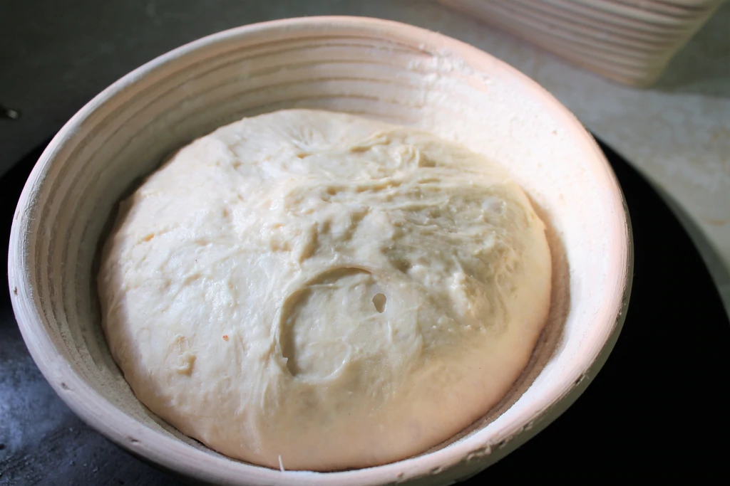 raw dough sitting and rising in the bread form